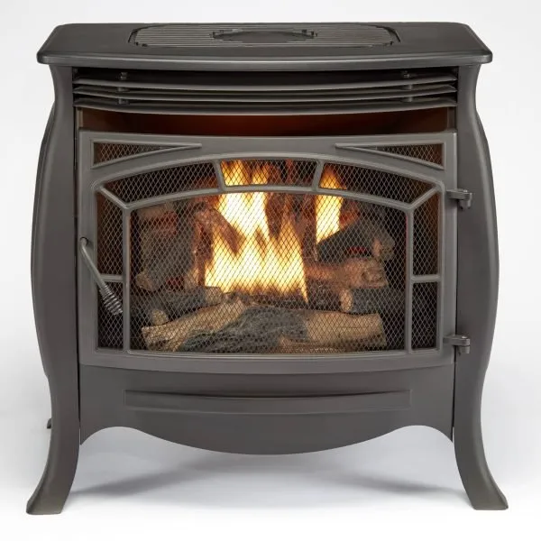 image_2026-02-28_231236673 Duluth Forge Dual Fuel Ventless Gas Stove – 26,000 BTU, Remote Control, Matte Black Finish – Model# FDSR25 - Image 1
