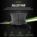 ALLSTAR 10 Trampoline Outdoor Backyard Play Equipment with Net & Ladder - Image 9