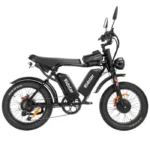 Ridstar Q20Pro 2000W Fat Tire Electric Bicycle - Image 2