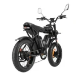 Ridstar Q20Pro 2000W Fat Tire Electric Bicycle - Image 6